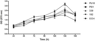 Paracoccidioides spp.: the structural characterization of extracellular matrix, expression of glucan synthesis and associated genes and adhesins during biofilm formation